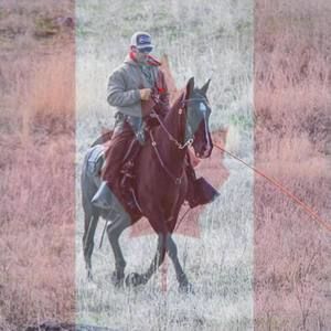 Meet your Posher, Sergio